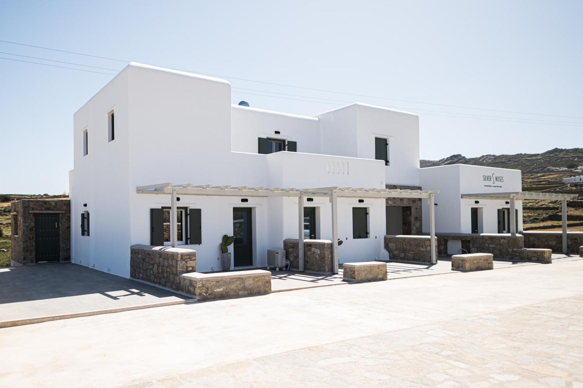 Silvair Iii By Silvernoses, Mykonos Holiday home